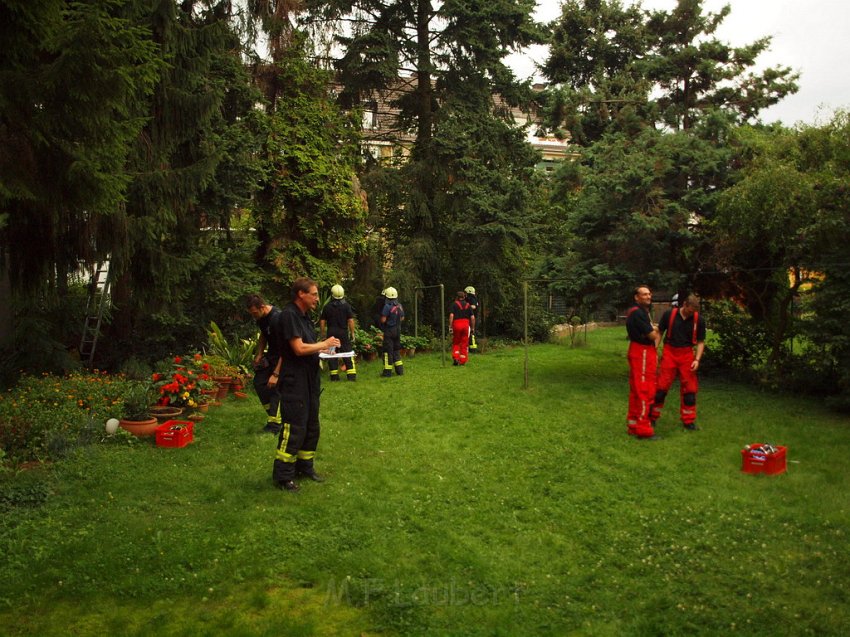 Katzenrettung Koeln Holweide Bergisch Gladbacherstr P62.JPG